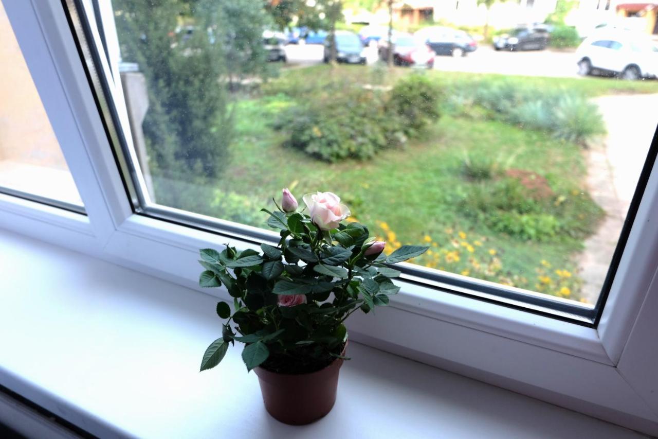 Jaukus Koko Butas 1 Aukste Apartment Kaunas Exterior foto